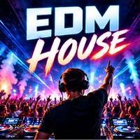 EDM House - 50 x gema freie Musik Party + Dance