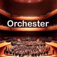 Orchestra - 200 royalty free instrument tracks for video scoring