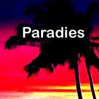 Paradise - 50 royalty free tracks with exotic moods