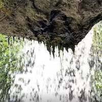 Wasserfall Wald Naturfilm für Wartezimmer TV  zum Download